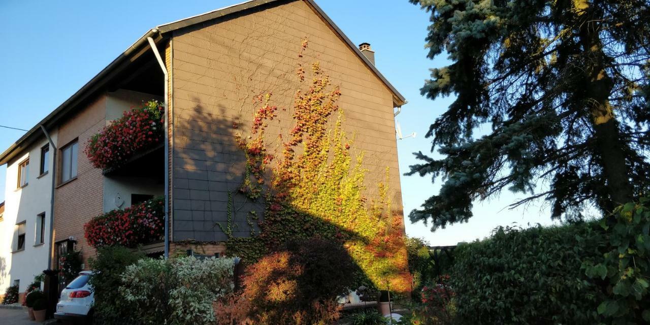 Ursula'S Ferienwohnung Marpingen Exterior photo
